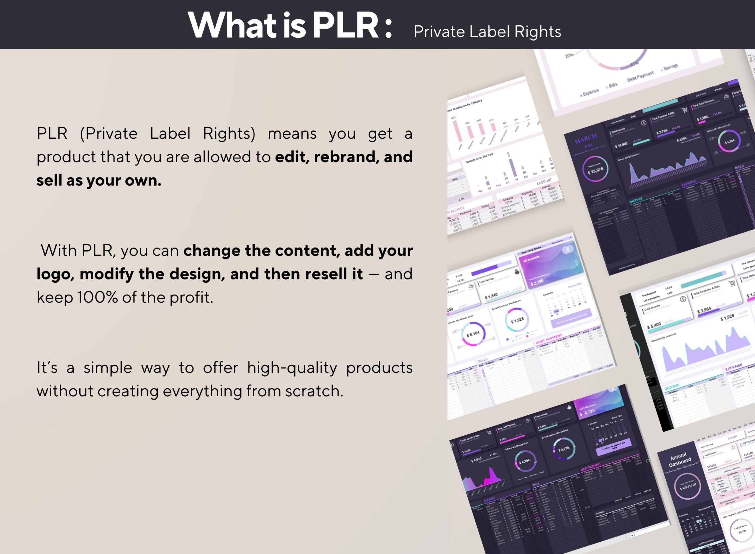 Simple Budget Spreadsheet PLR Template with Income, Expense and Bill Tracker
