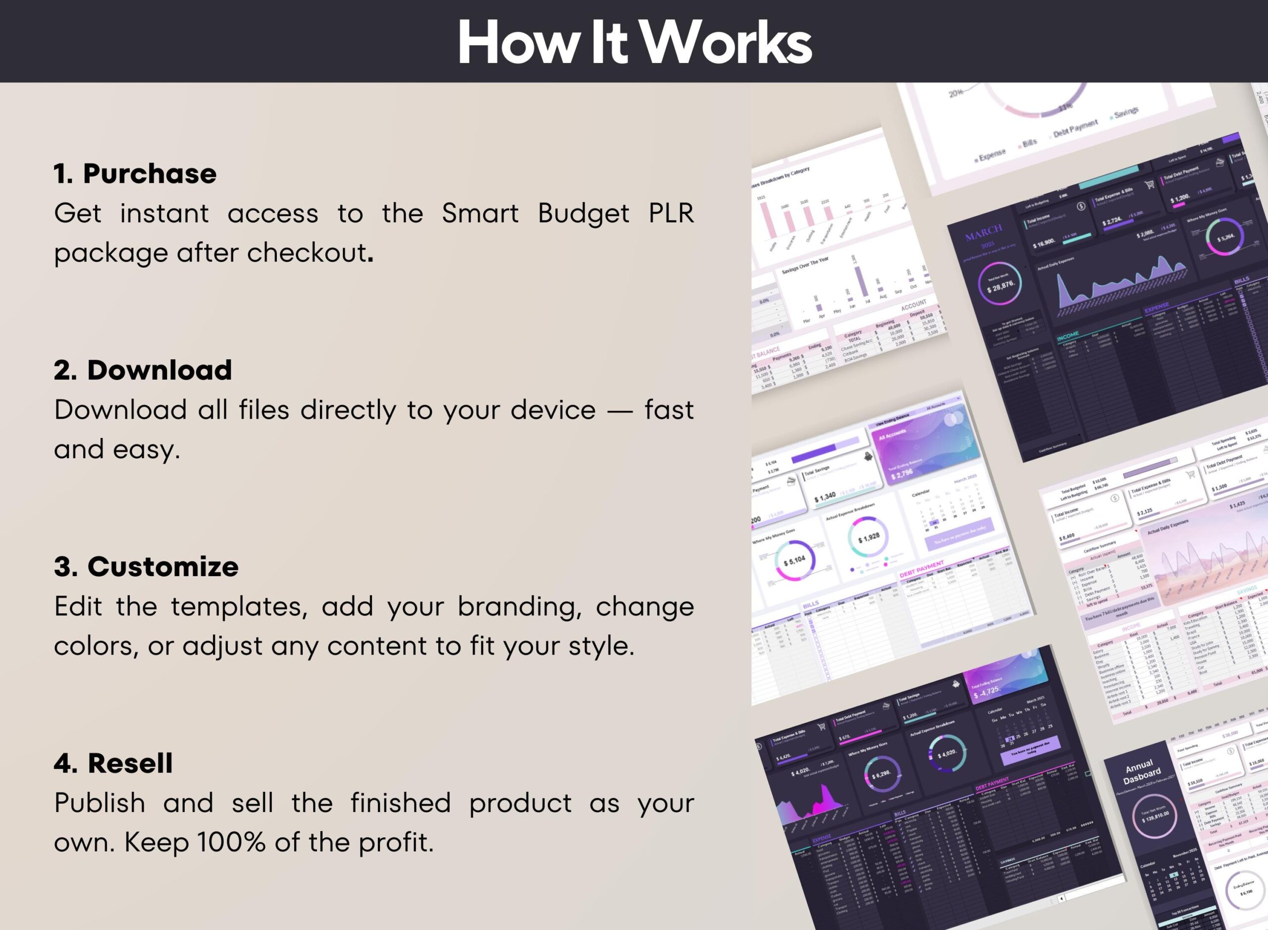 Simple Budget Spreadsheet PLR Template with Income, Expense and Bill Tracker
